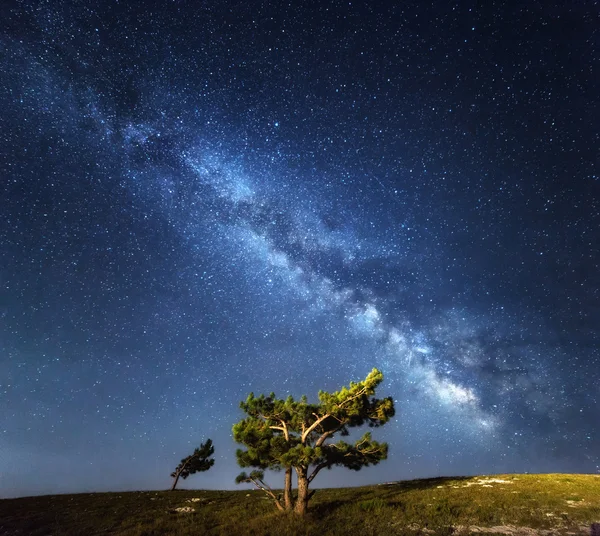 Milky Way. Beautiful summer night sky with stars in Crimea