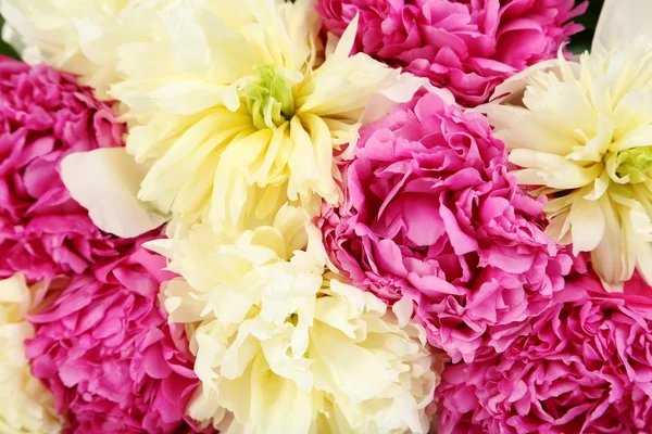 Bouquet of peony flowers background