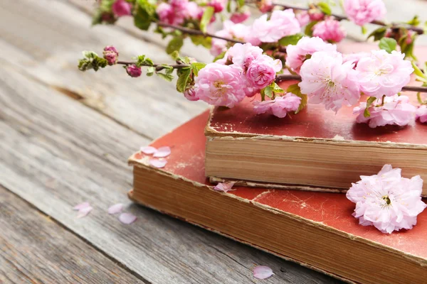 Spring flowering branch with old books