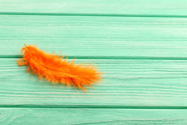 Decorative Feather on a mint wooden table