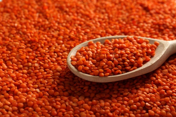 Red lentils in the  spoon