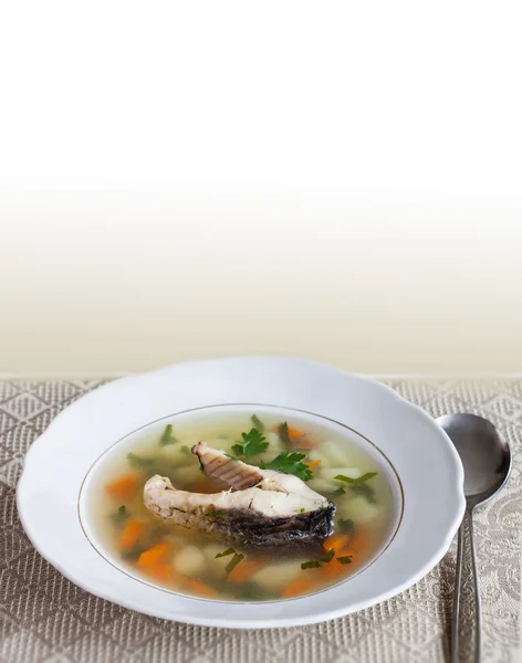 Plate with carp fish soup and vegetables. sliced carp, potatoes, carrot, herbs. copy space, soft focus