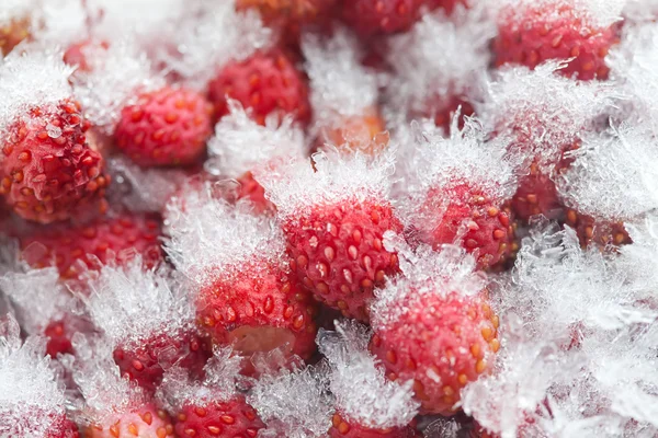 Frozen wild strawberries macro view