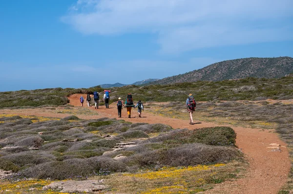 Group of tourists with large backpacks are on road sea