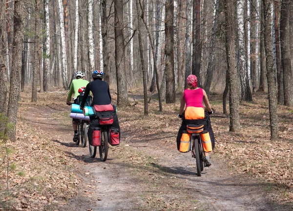 Group of tourists  mountain bike ride on  forest trail.