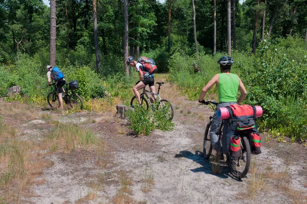 Group of tourists  mountain bike ride on  forest trail.