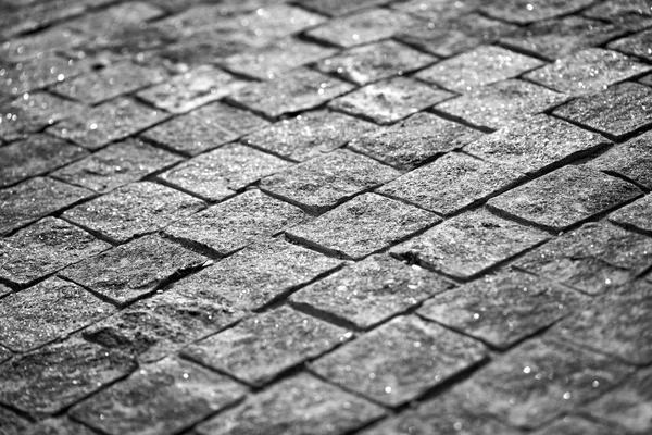 Paving Stones Road Texture black and white