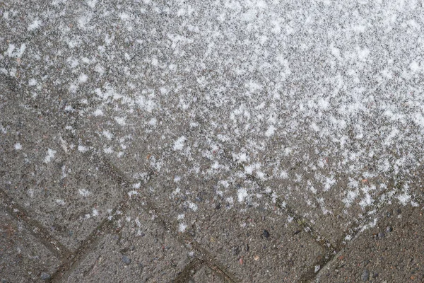 Cement tiles on the ground covered in snow