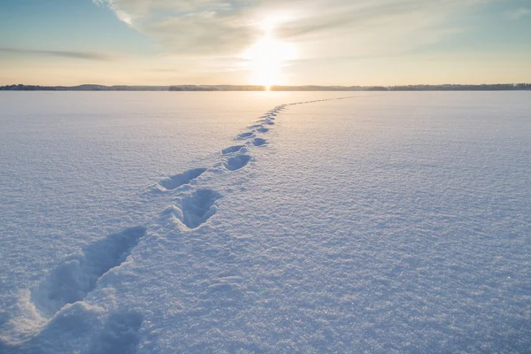Footsteps on snow at a frozen lake