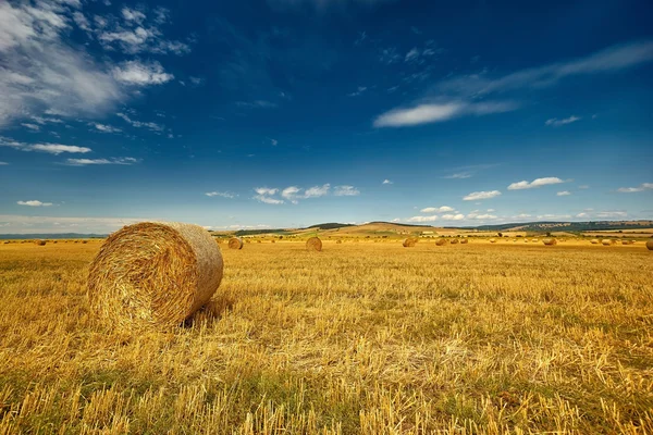 Straw Bale in Summer