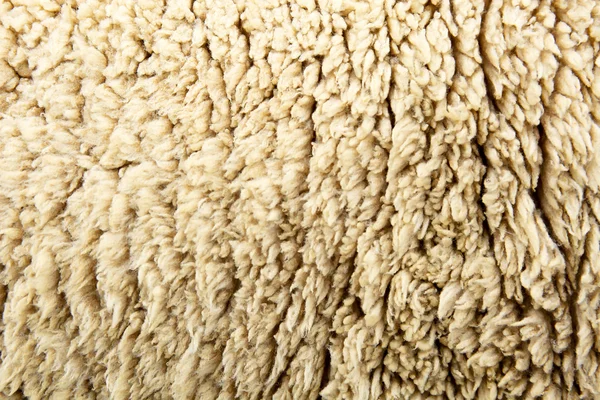 Sheep hair wool skin closeup background