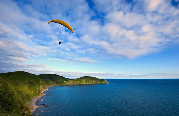 Paraglider flying over the coast.