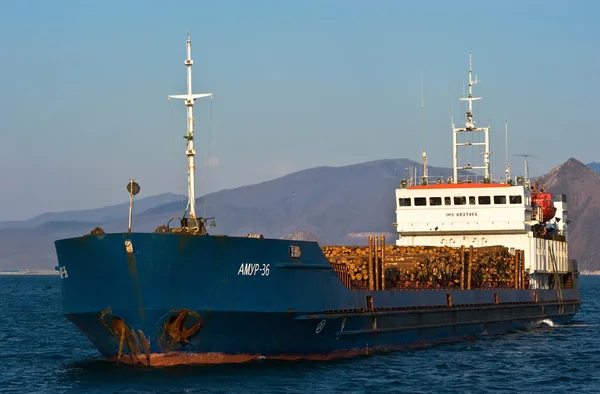 Amur-36 ship loaded with logs at anchor in the roads. Nakhodka Bay. East (Japan) Sea. 31.03.2014