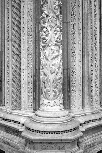 Cathedral of Siena, marble column detail. Black and white photo