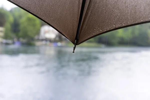 Umbrella with raindrops, detail. Color photo