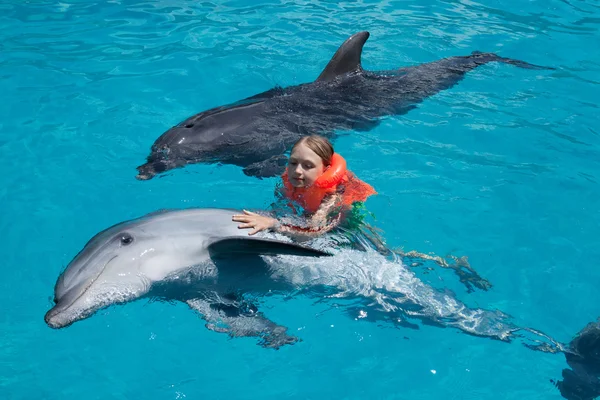 Little Girl and two Dolphins in Swimming Pool