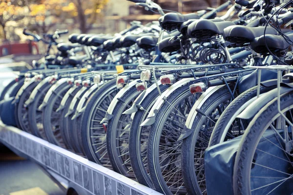 Bicycles Arranged in a Row Prepared for Transportation