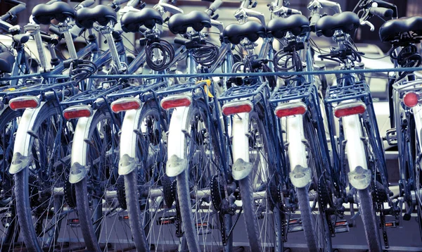 Bicycles Arranged in a Row Prepared for Transportation