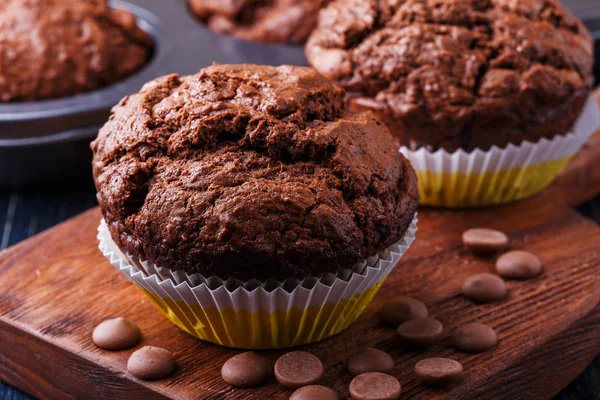 Chocolate muffins with chocolate drops on dark background.