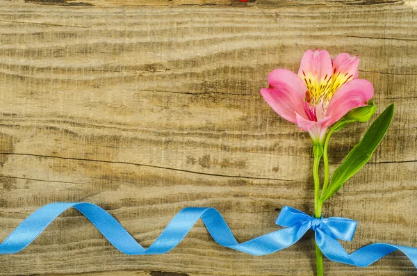Flower with blue ribbon on wooden table
