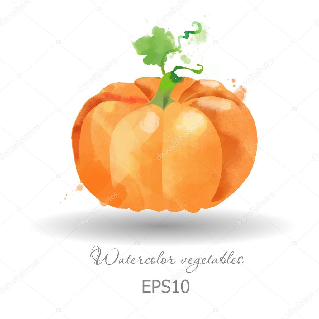 23+ Transparent Background Watercolor Pumpkin Png Gif