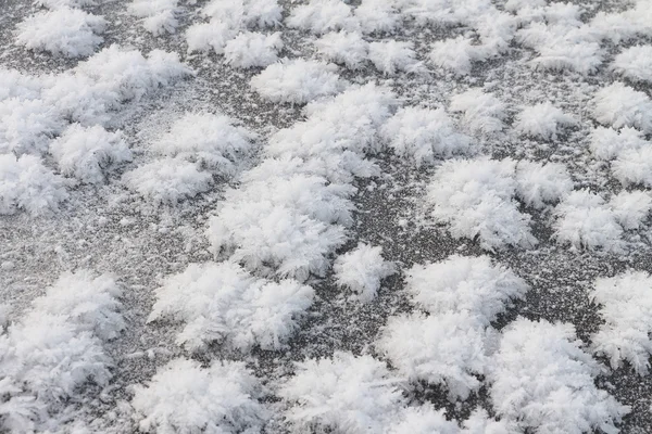 Natural snow background in the form of snow roses on an ice surf