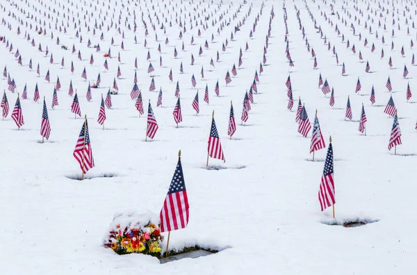 Veteran Cemetery displaying US flags over a fresh Snow Fall