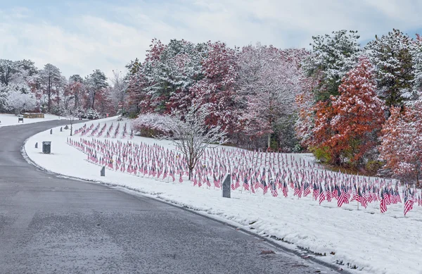 Veteran Cemetery displaying US flags over a fresh Snow Fall