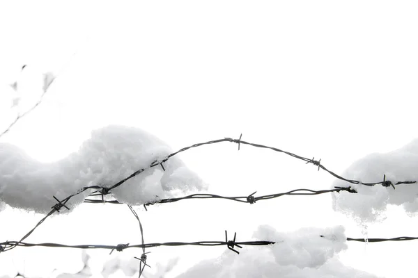 Barbed Wire In Snow
