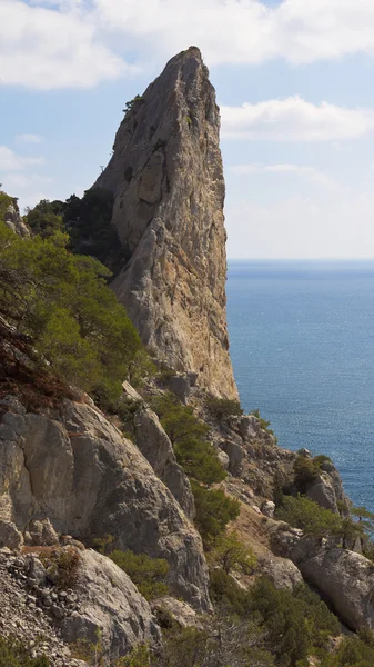 High rock resembles a horn.The Black sea coast