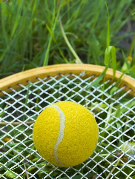 Yellow tennis ball is on the racket in the grass