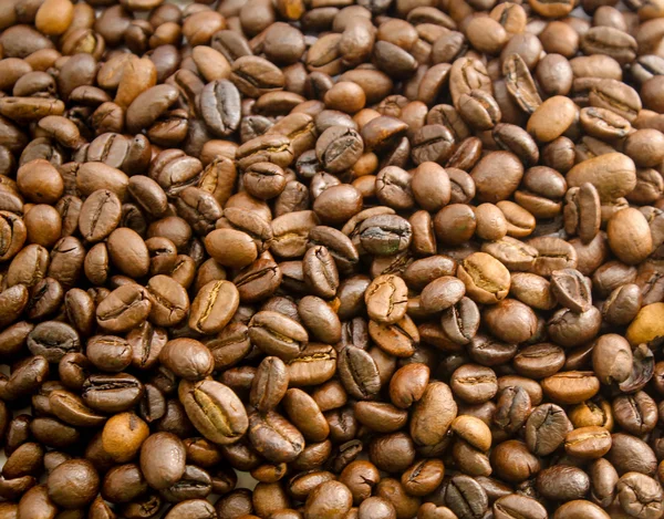 A lot of coffee beans on the background