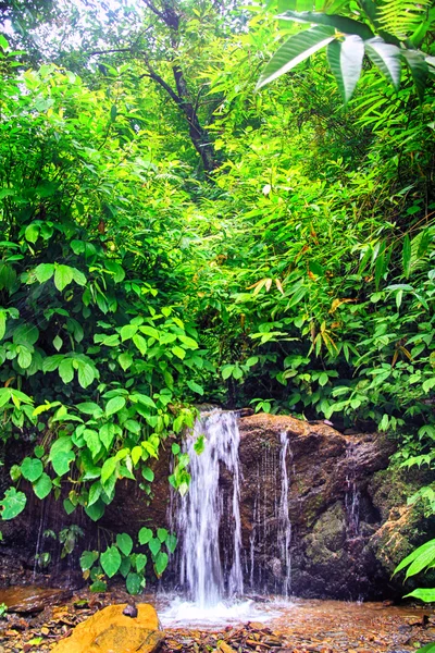 Waterfall in jungle