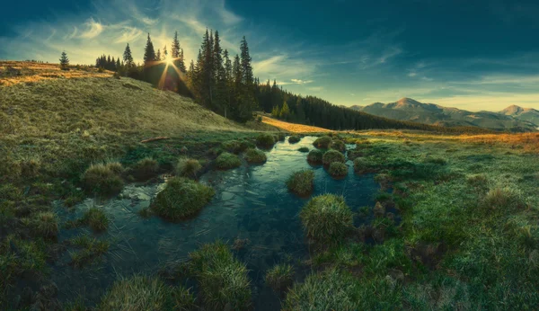 Carpathian mountain valley