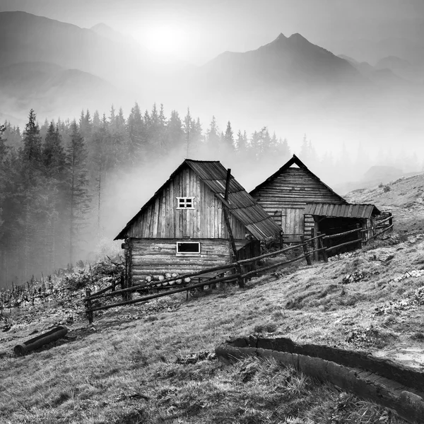 Mountain Carpathian village. Black and white