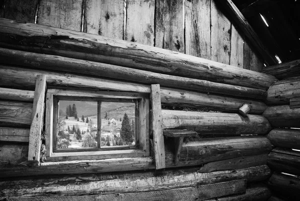 View from wooden house. Black and white