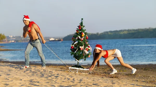 Santa pulling Christmas tree