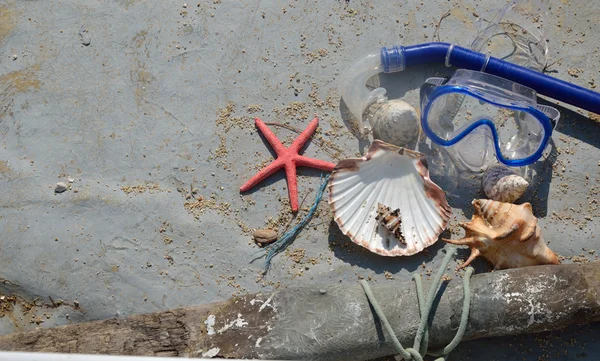 Seashells and Diving Mask in Old Boat