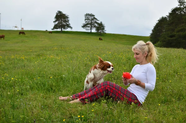 Playful Dog and Woman in Mountain Meadow