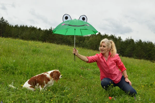 Protecting Dog in Rainy Day