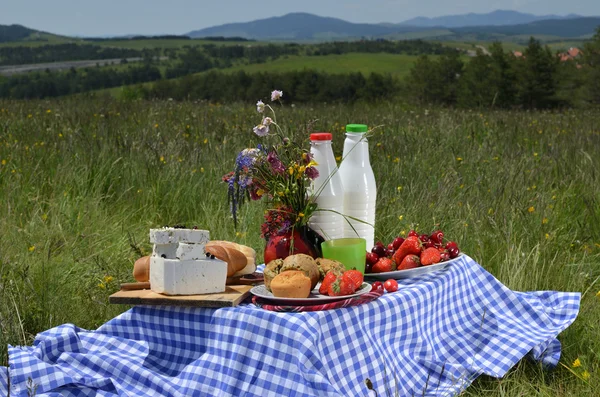 Picnic Placed on Meadow