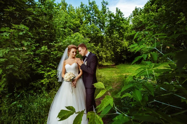 Beautiful wedding couple is standing outdoors at amazing summer park green background.