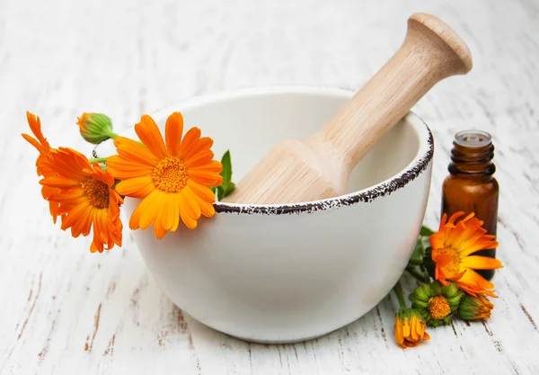 Calendula flowers