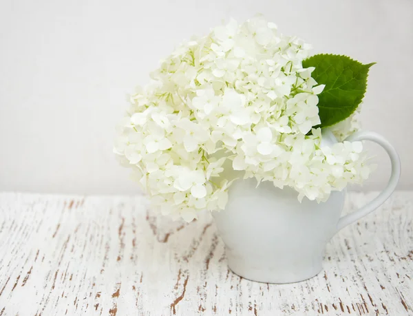 White hydrangea in a vase