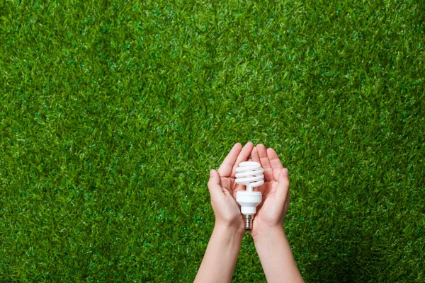 Human hands holding energy saving lamp