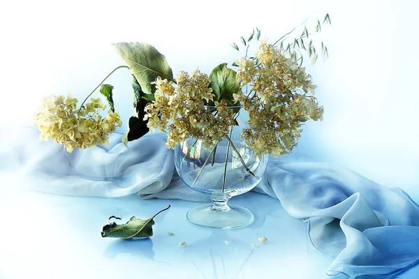 Still life with glass objects and dried flowers on a light background .