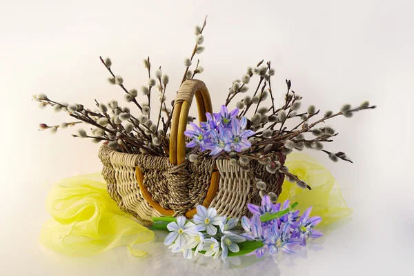 Bouquet with spring flowers and branches of a willow in a basket on a white background.