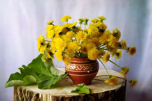 Still life with bouquet of spring flowers dandelion
