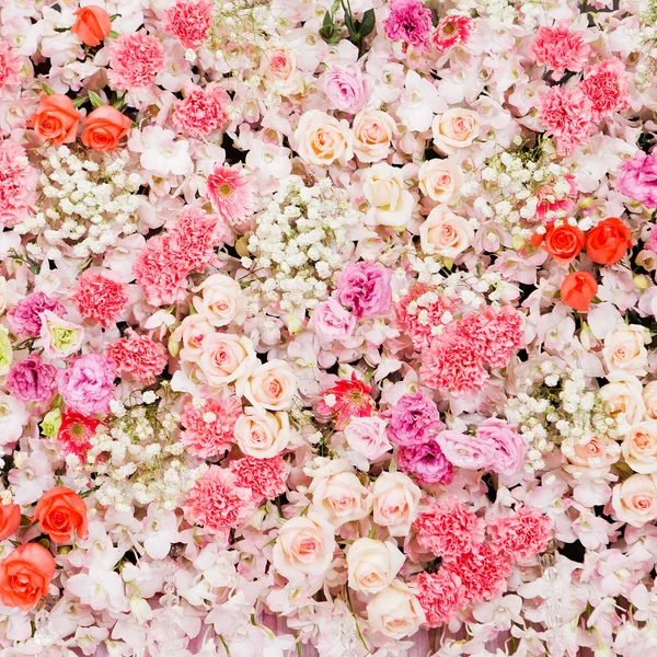 Beautiful flowers background