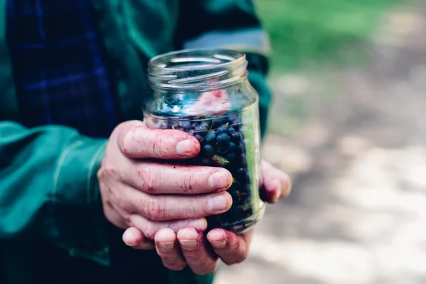 Man hands holding jar of forest blueberry